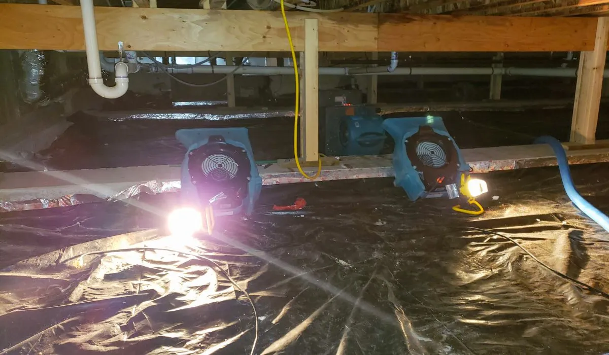 water drying equipment in basement