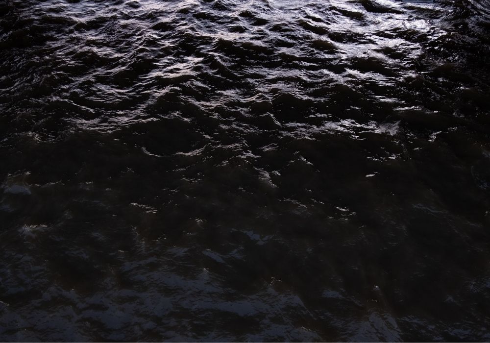 Clean Water vs Gray Water vs Black Water