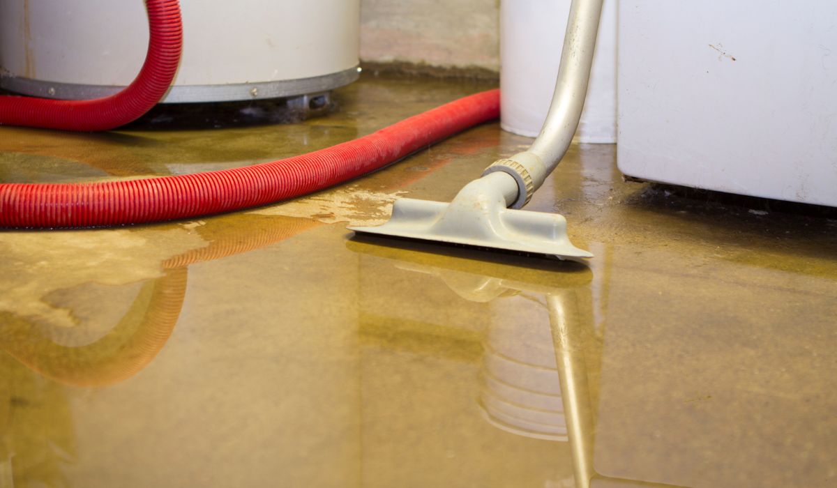 How to Remove Mold from the Basement