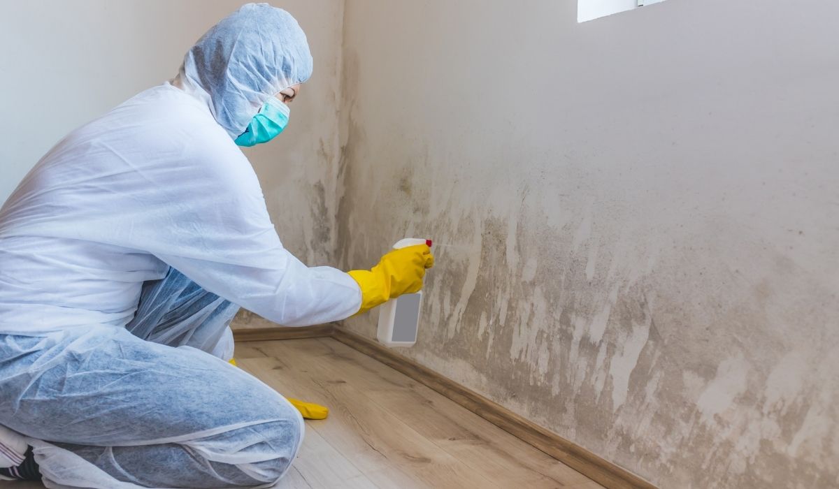 How to test your house for mold