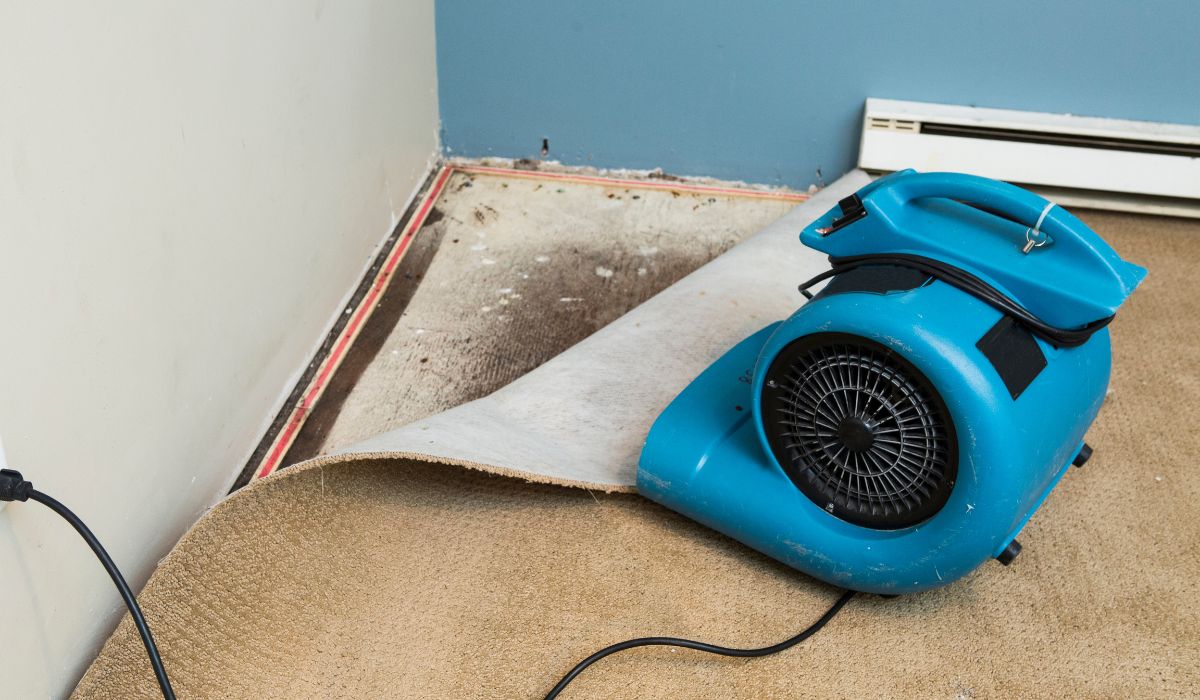 What Restoration Steps Are Taken After Fire Damage