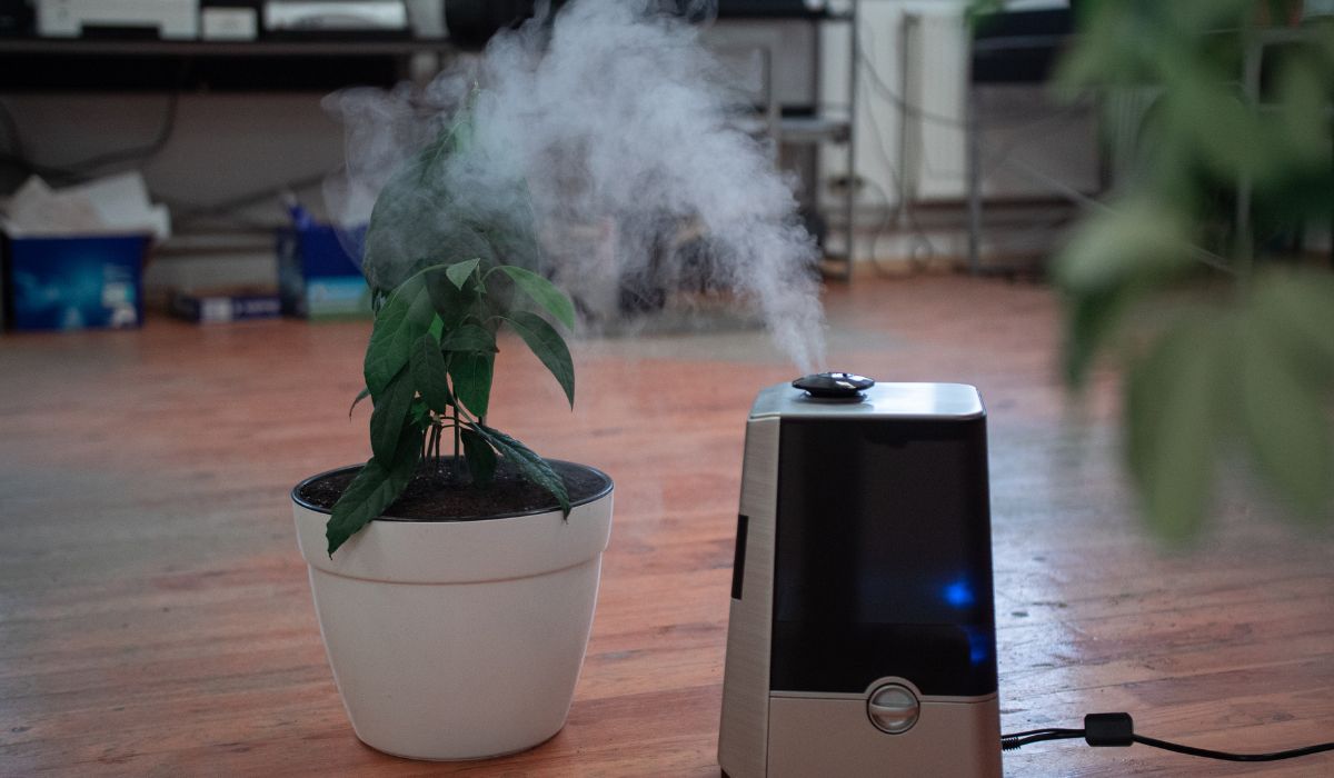 air purifier in living room