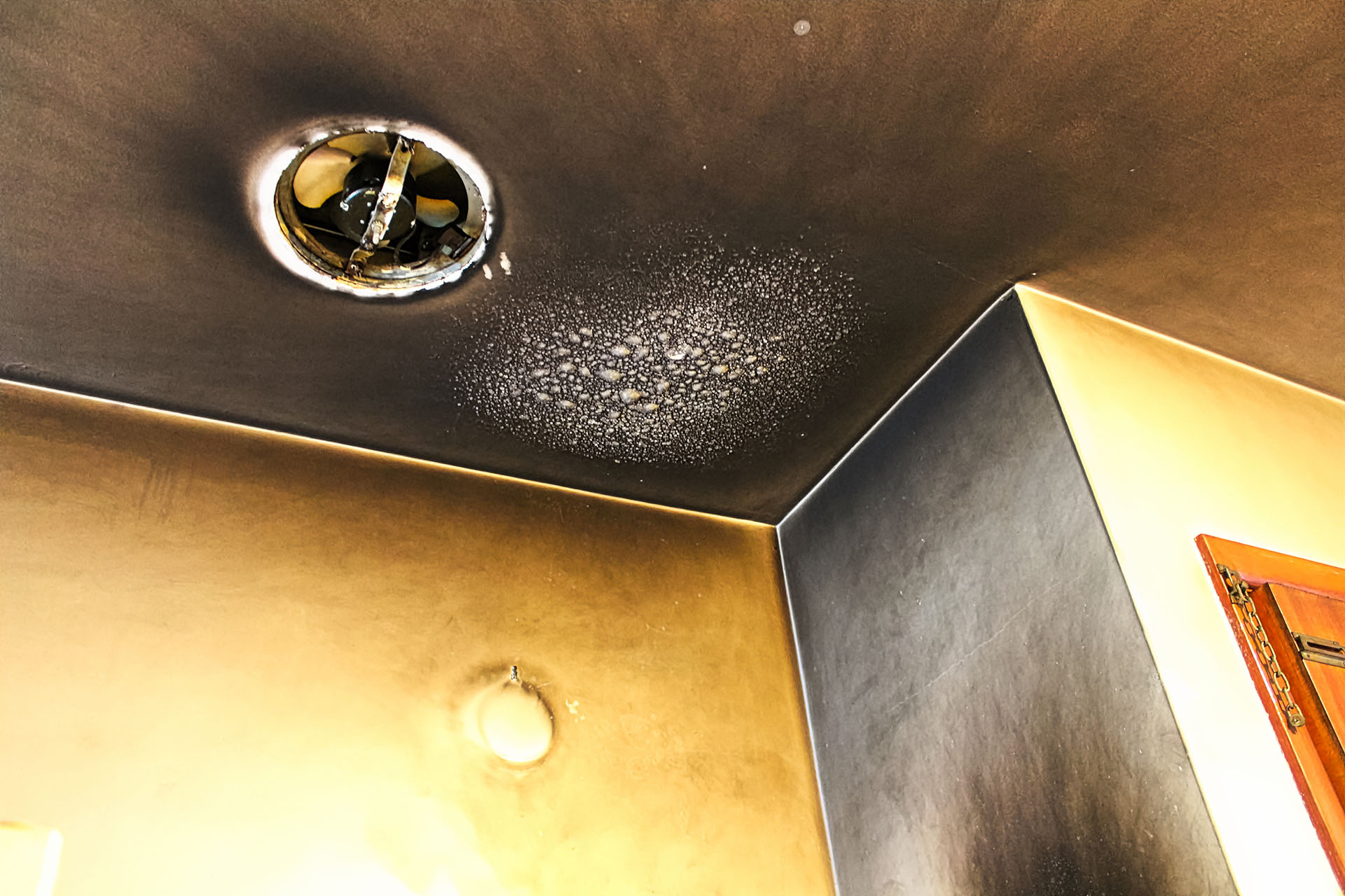 Mold Removal Orange County