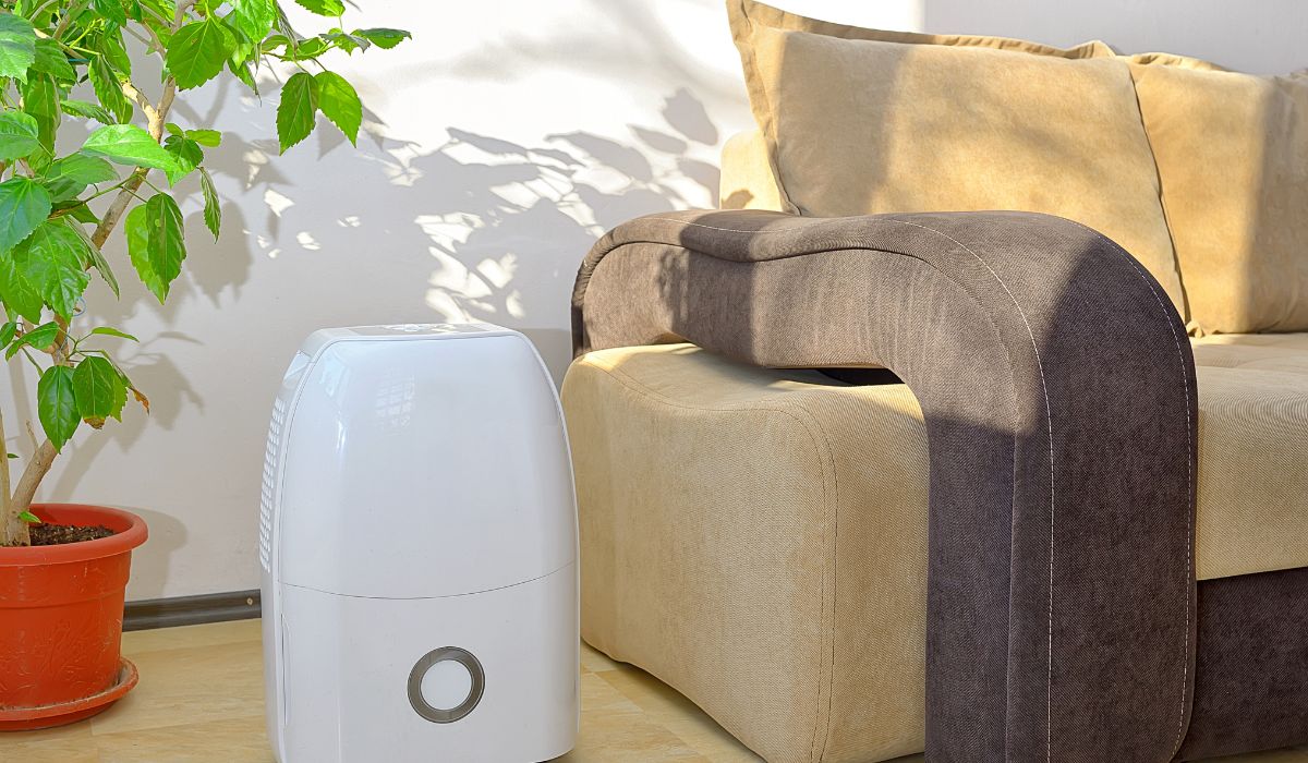 can a dehumidifier help stop water damage in high moisture areas