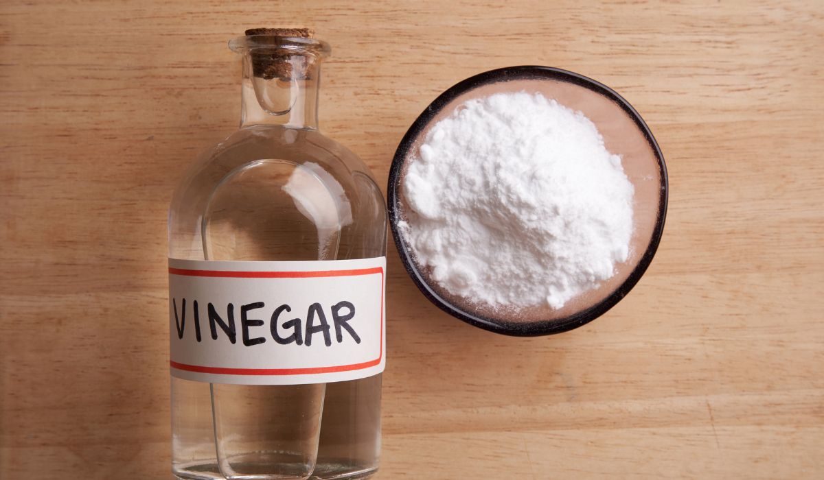 does vinegar kill mold