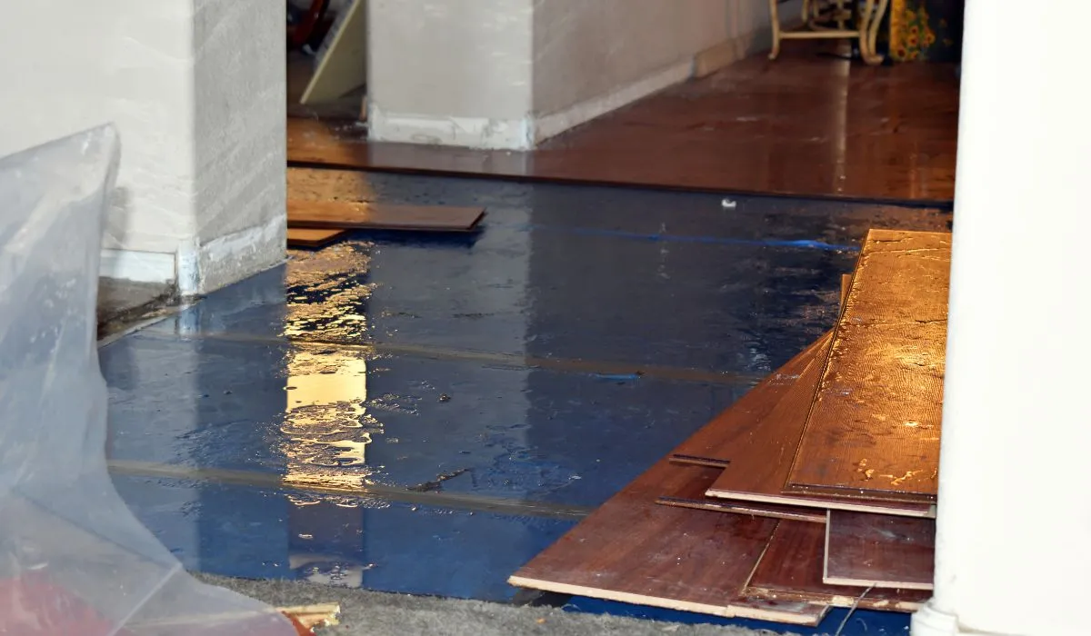water damage in kitchen floor