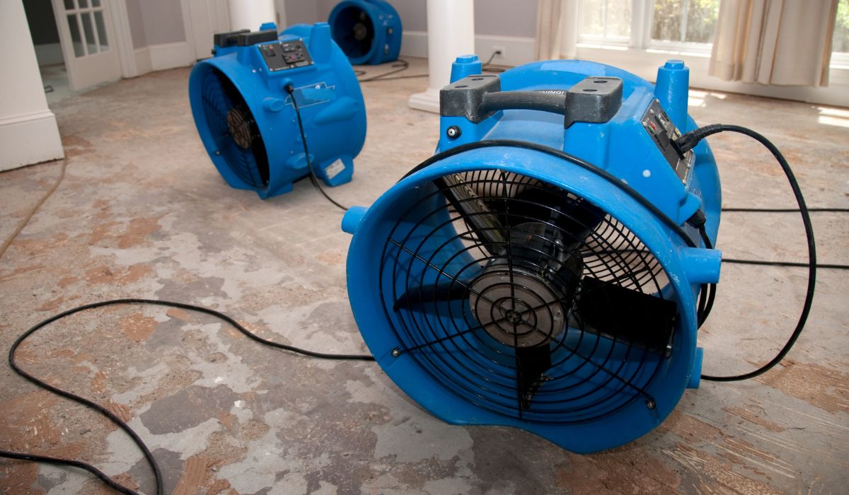 machines drying floors in basement