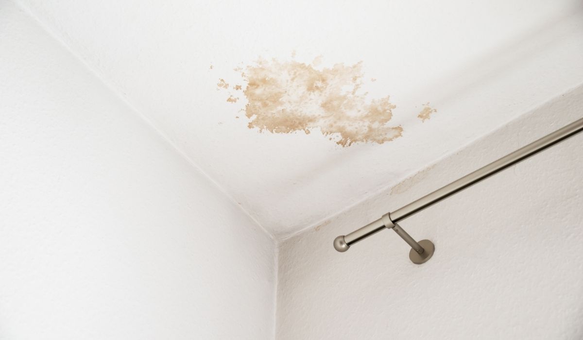 mold damage in bathroom