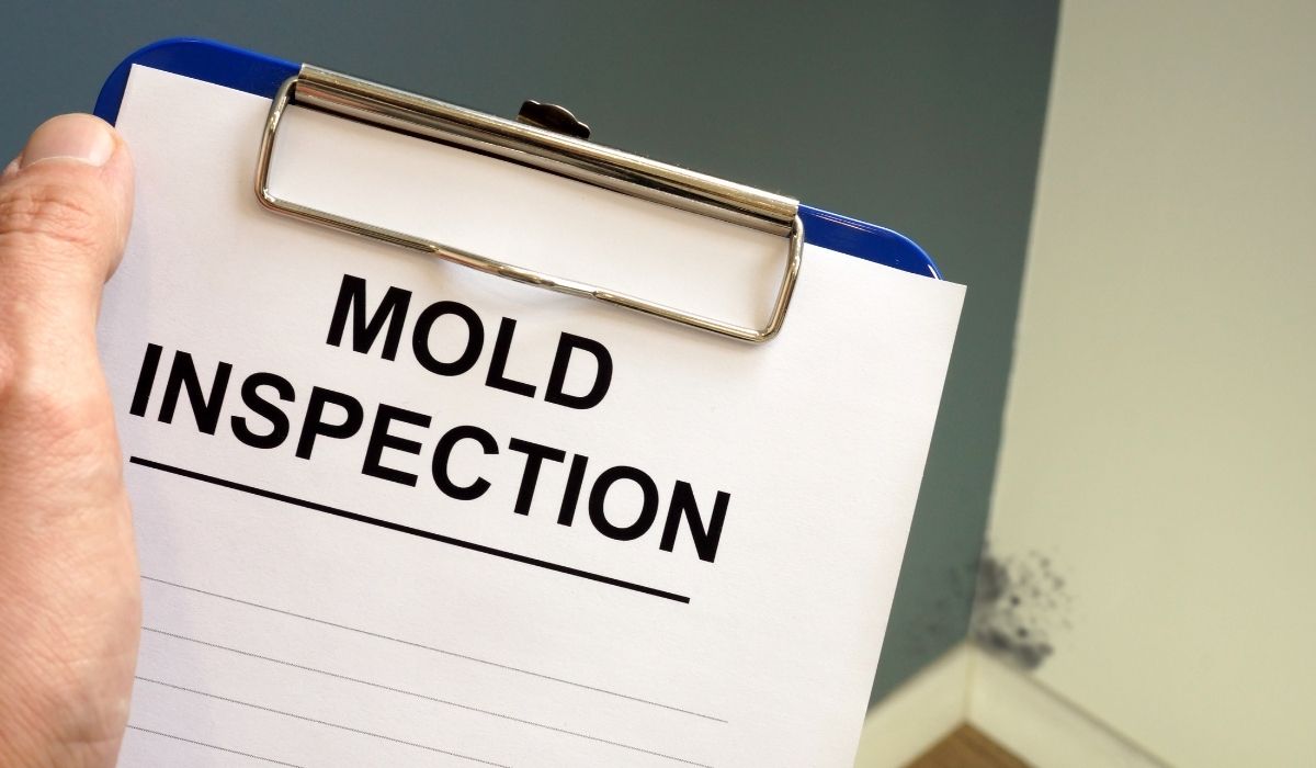 mold inspection checklist