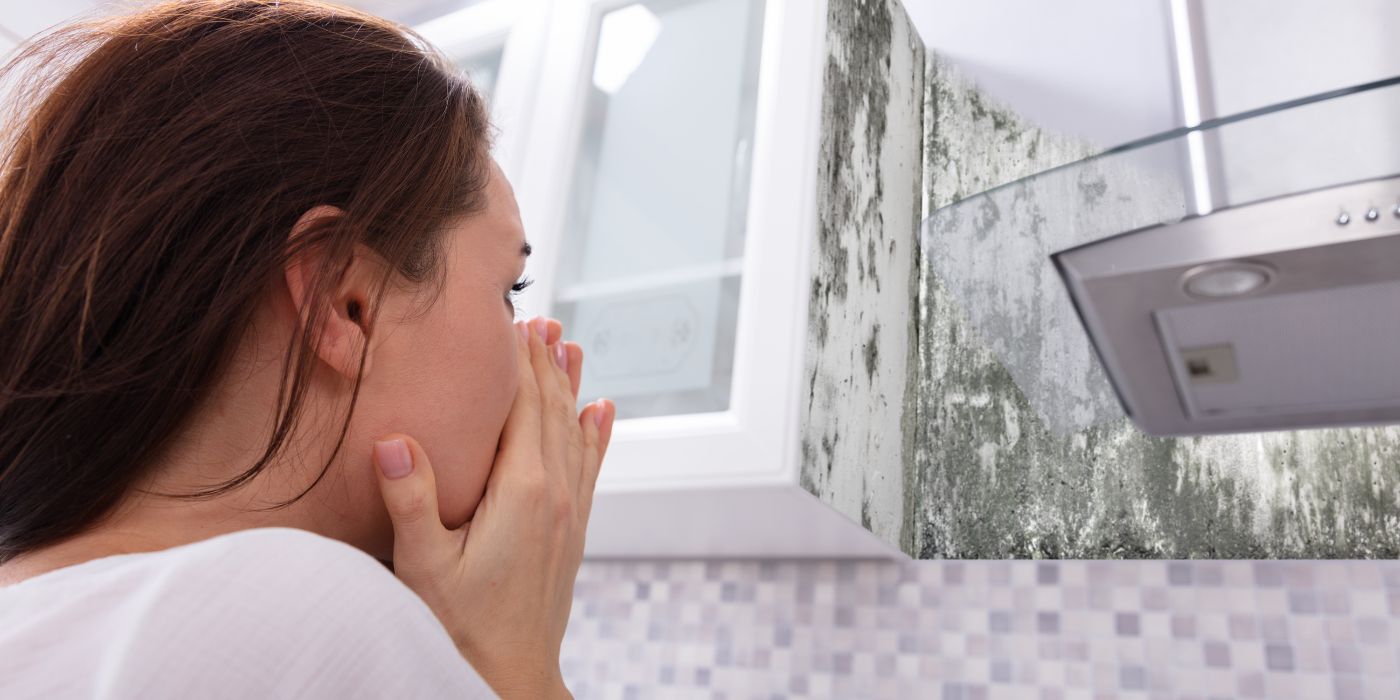 mold smell