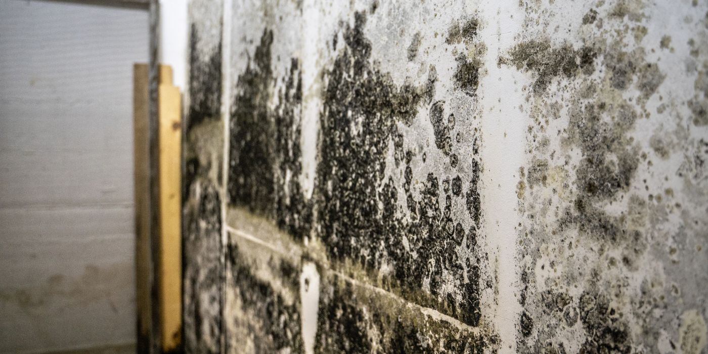 molding on wall