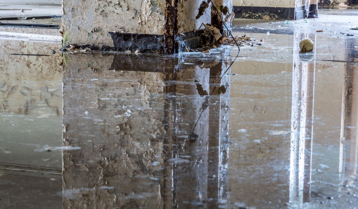 old water in basement