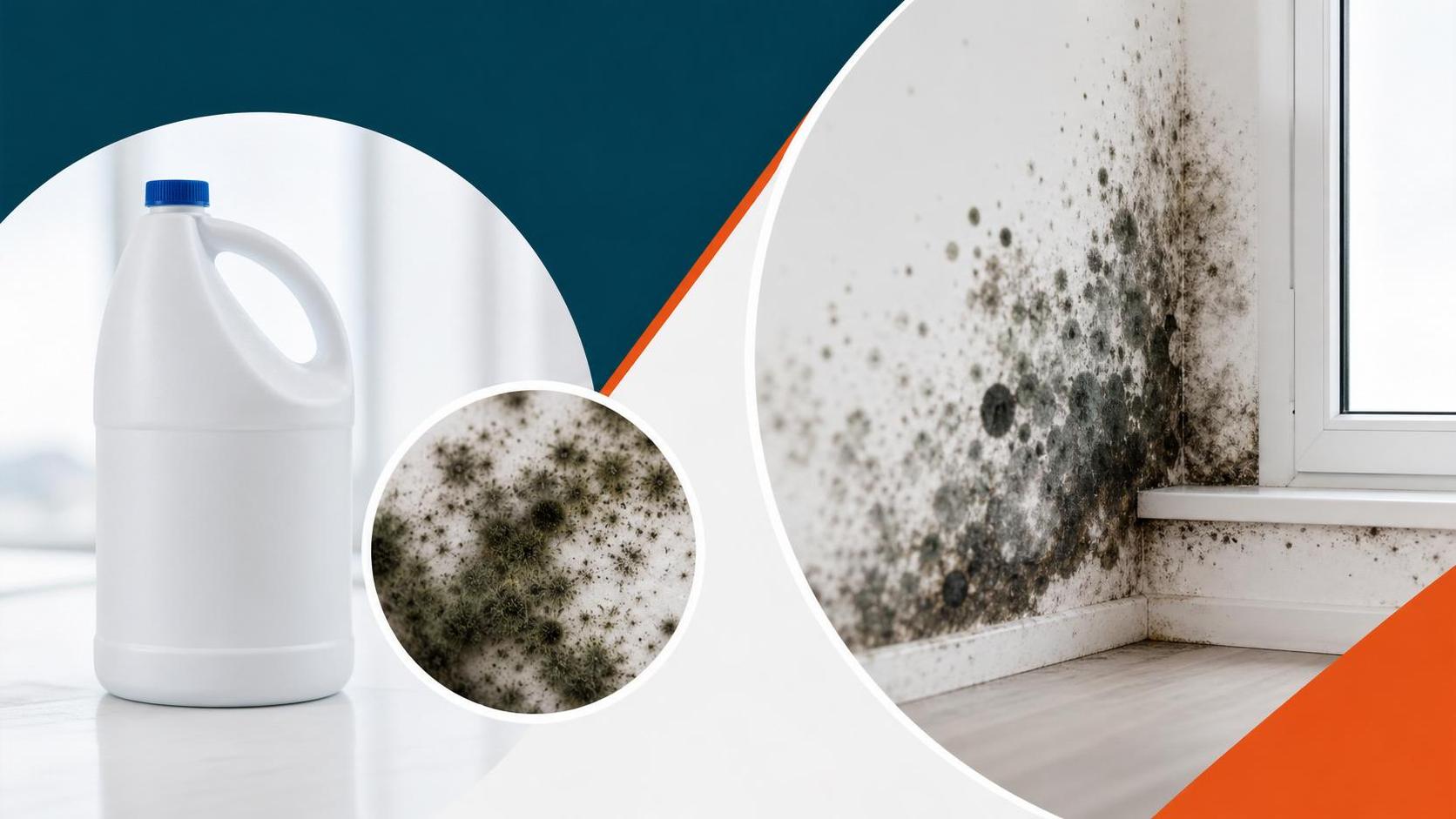 does bleach kill mold