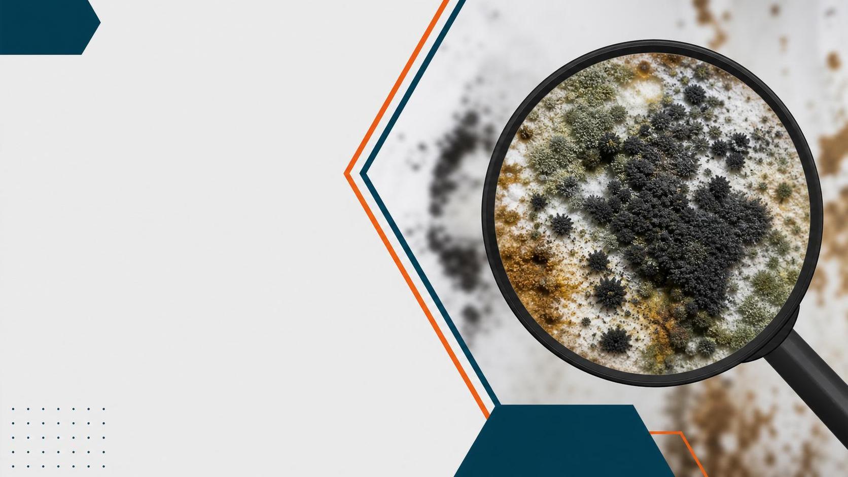 dangerous mold colors