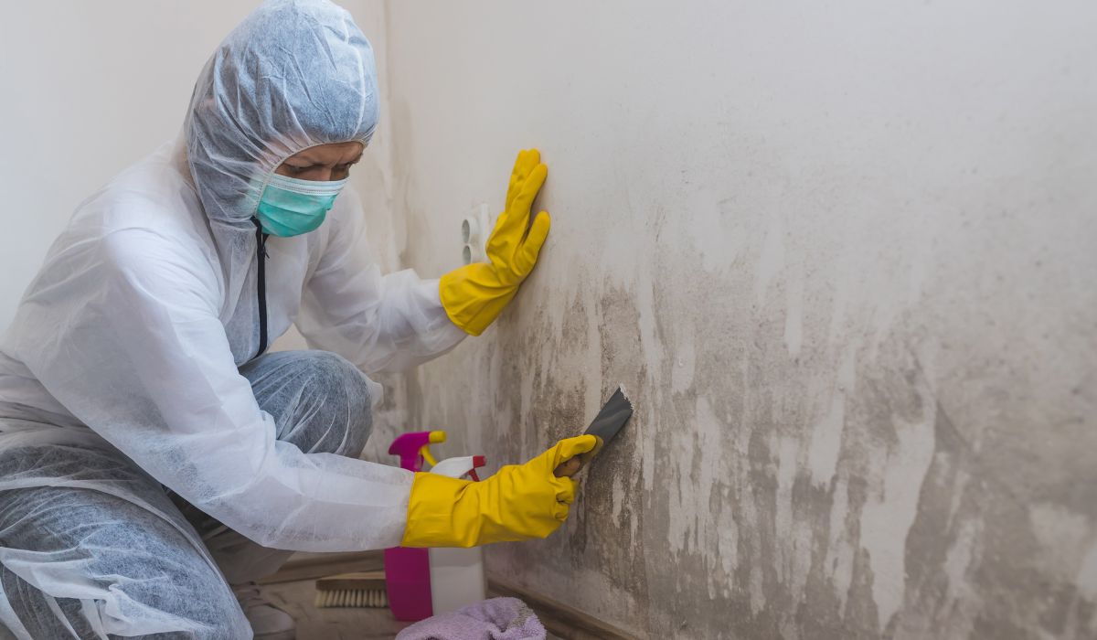 person cleaning mold on walls