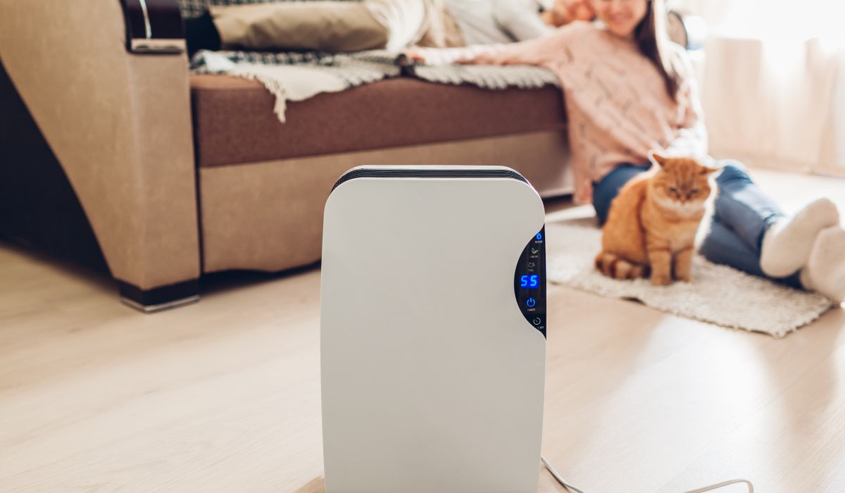person in living room with humidifier (1)