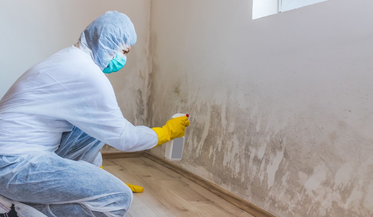 person spraying vinegar on mold