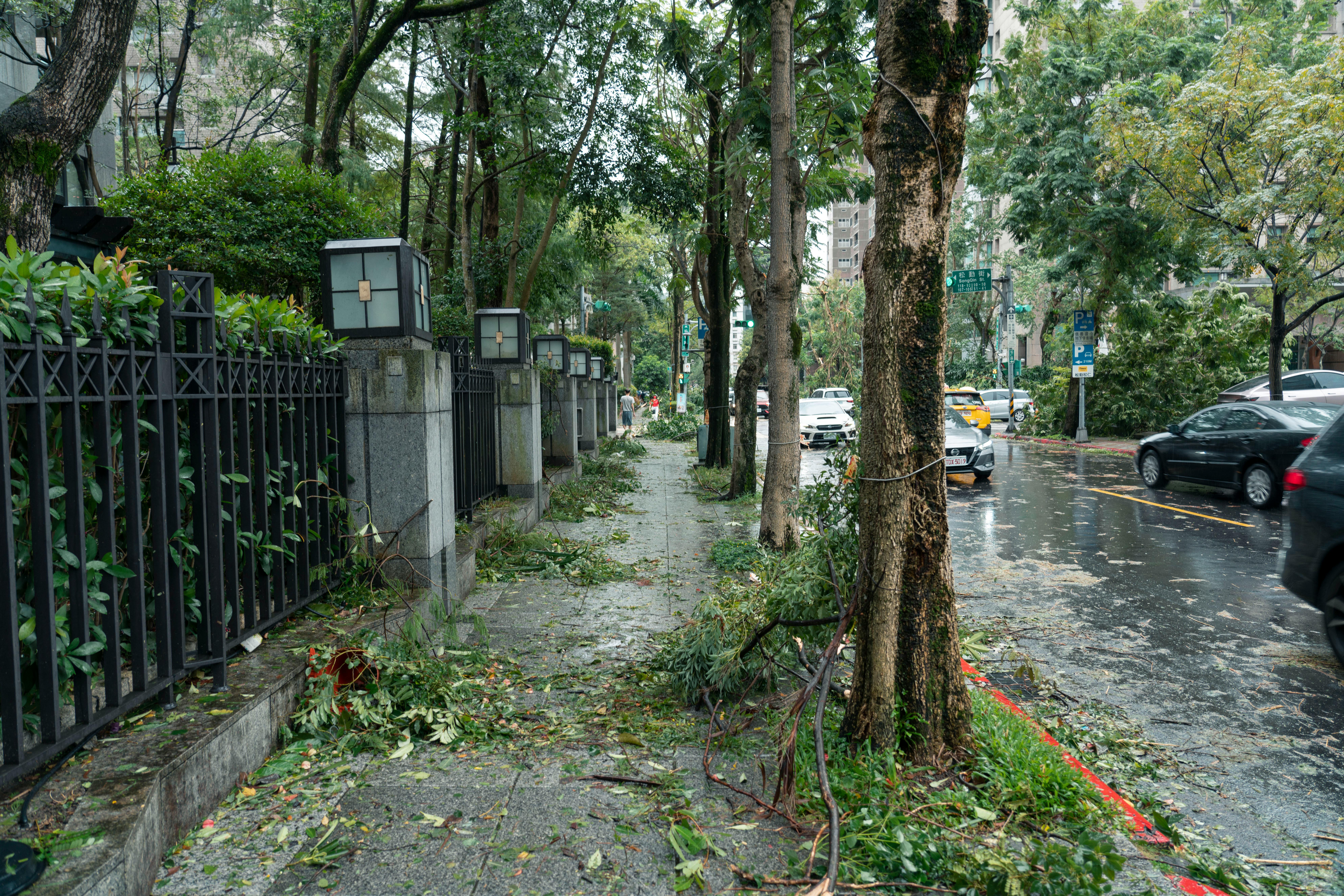sidewalk damage from wind