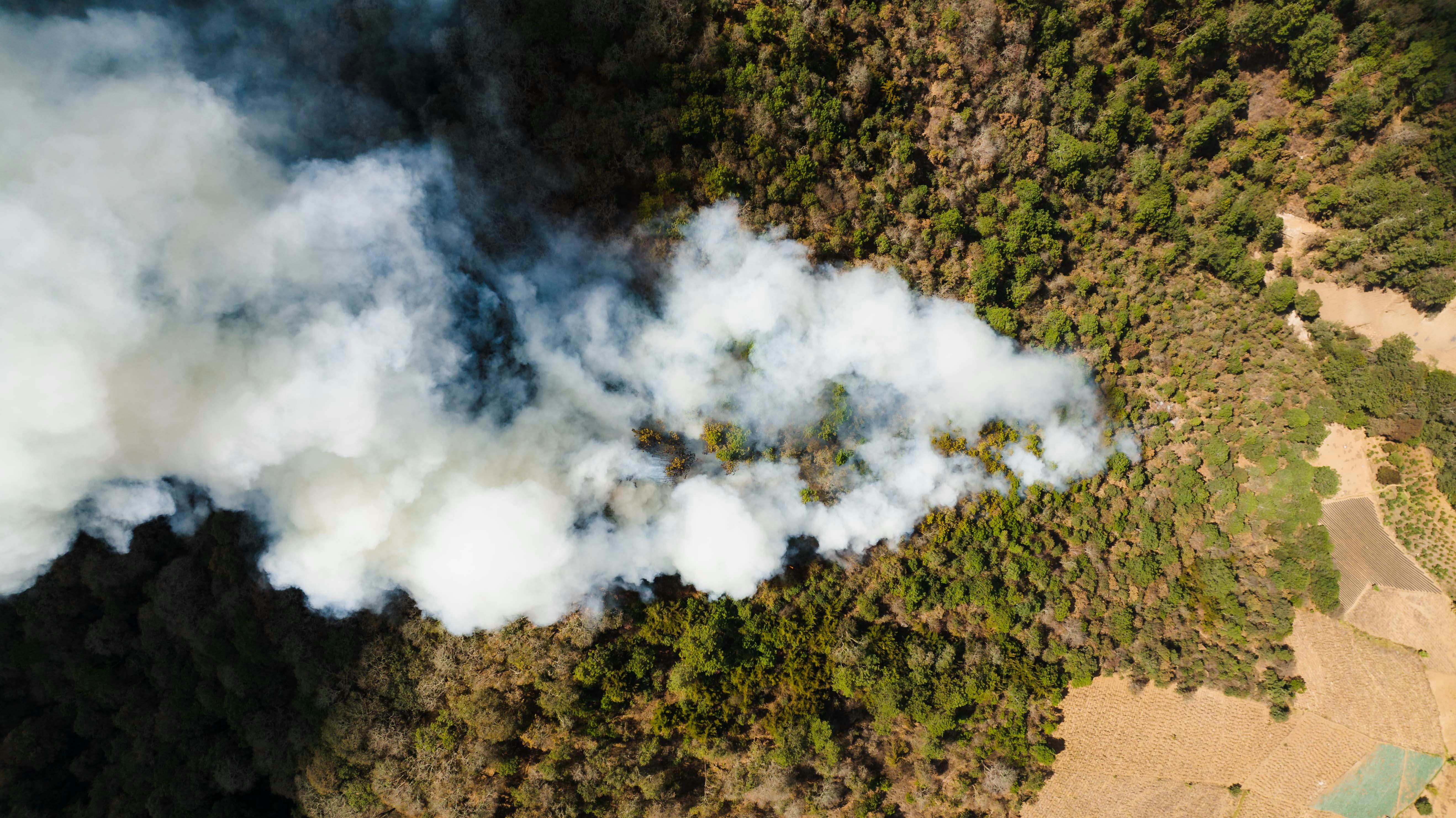 smoke damage across field
