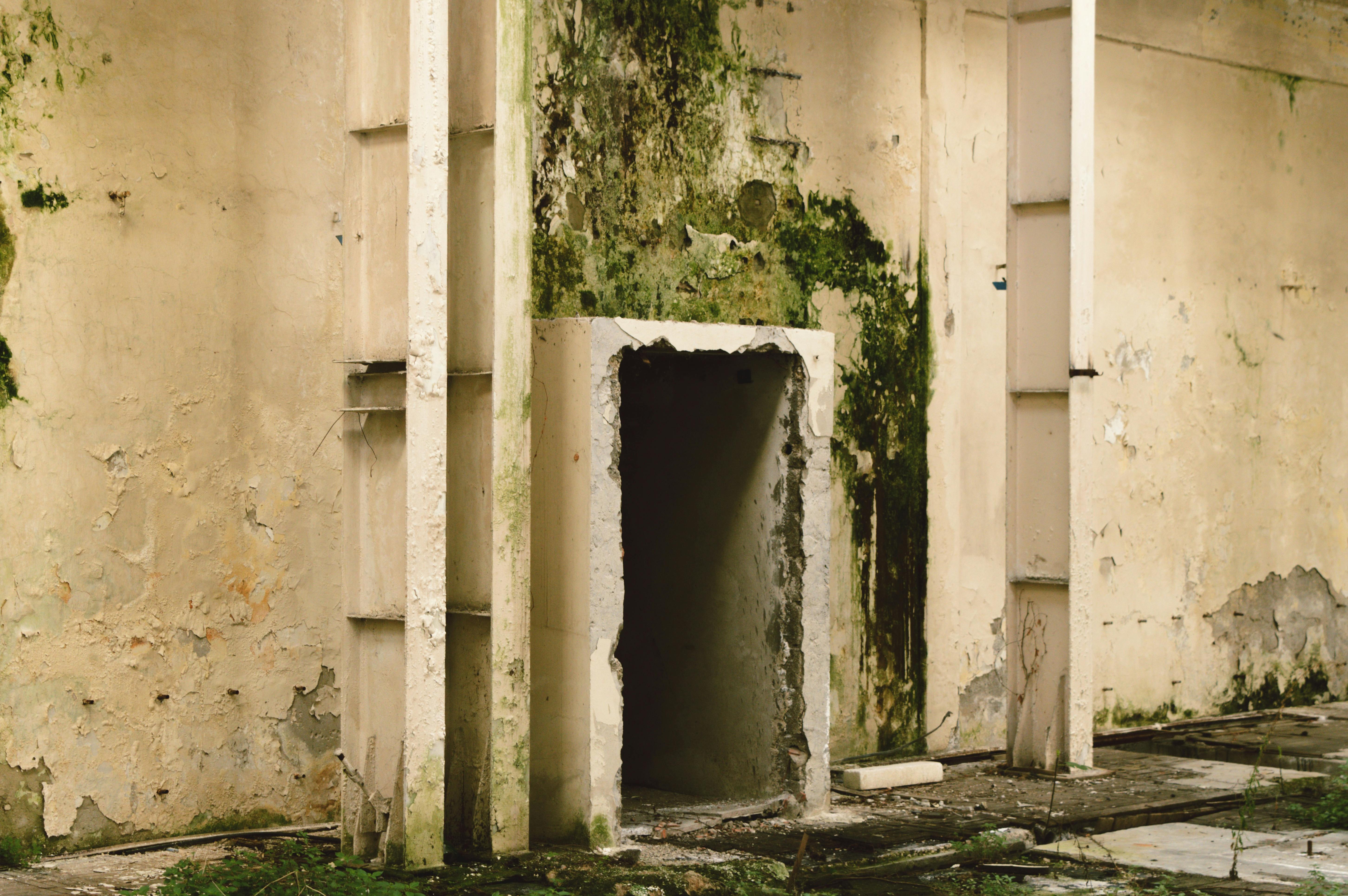 is mold from water damage dangerous