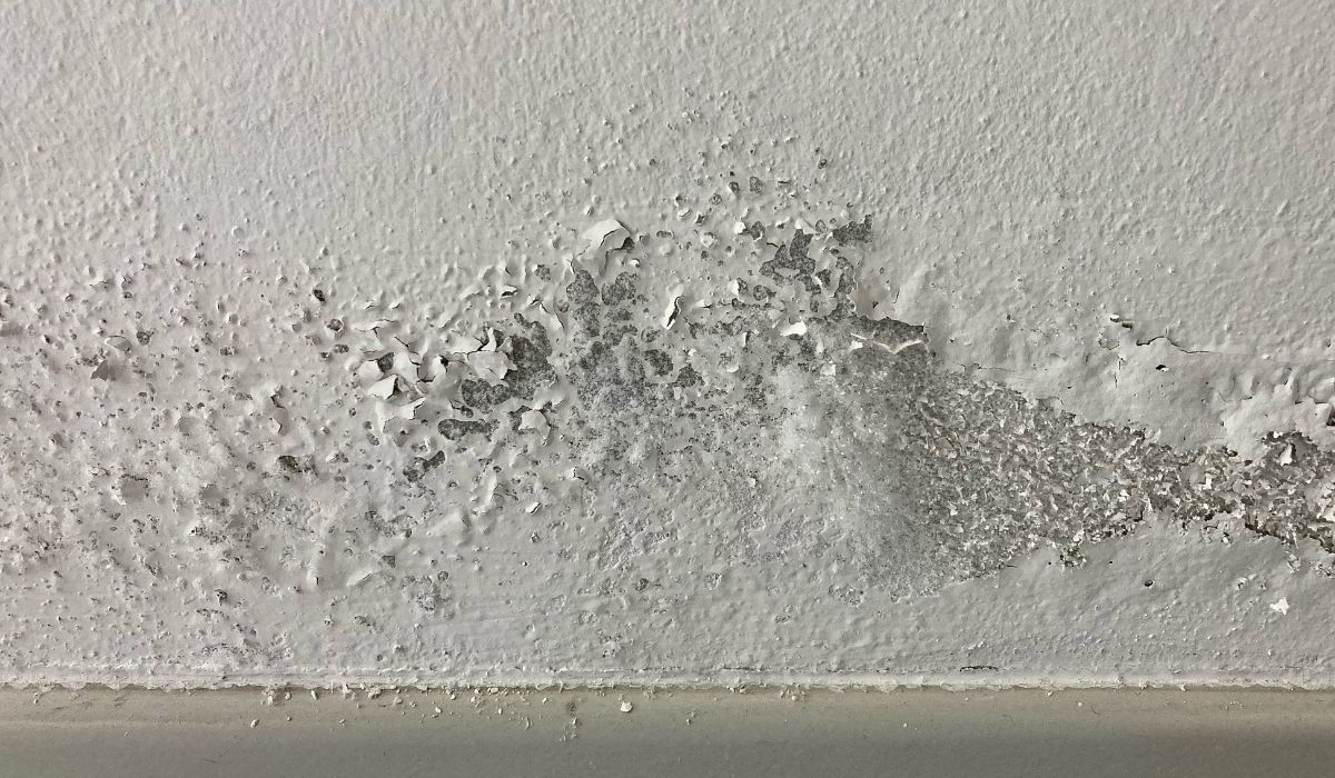 wall damage from water
