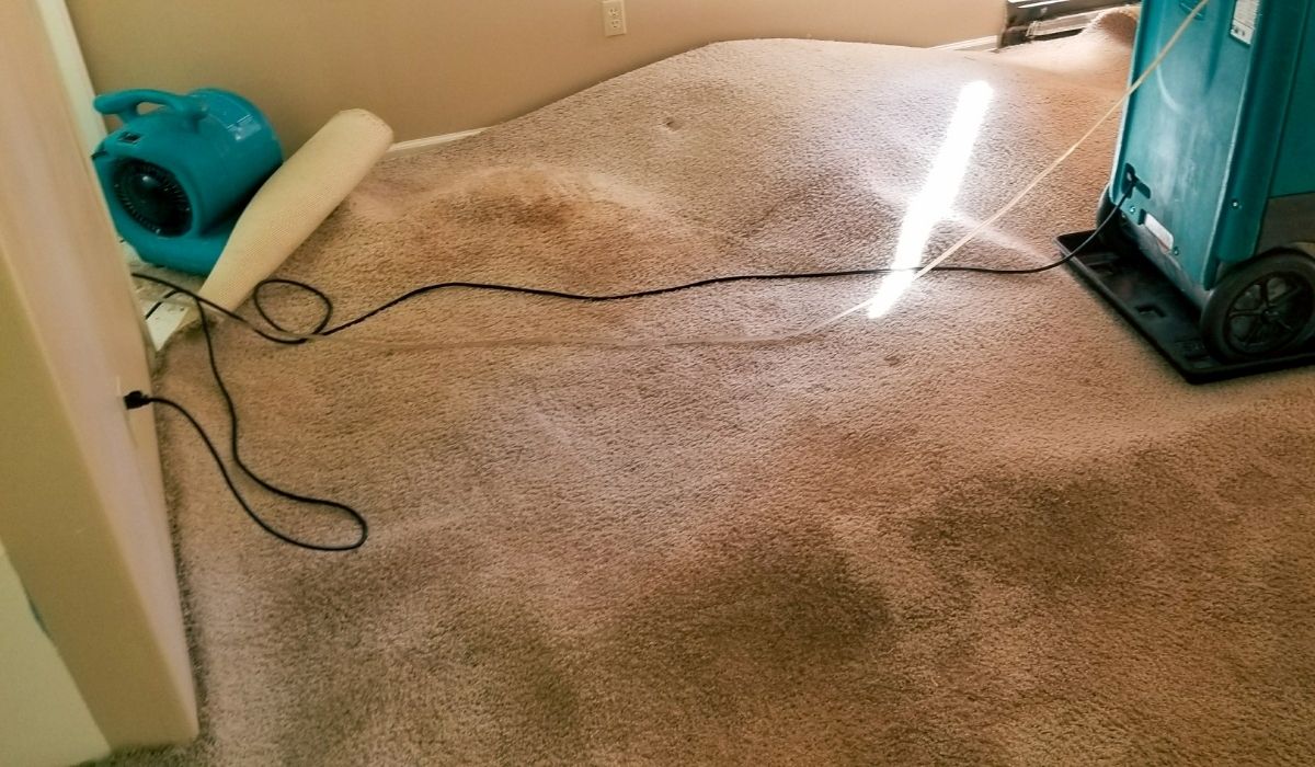 water damage and drying