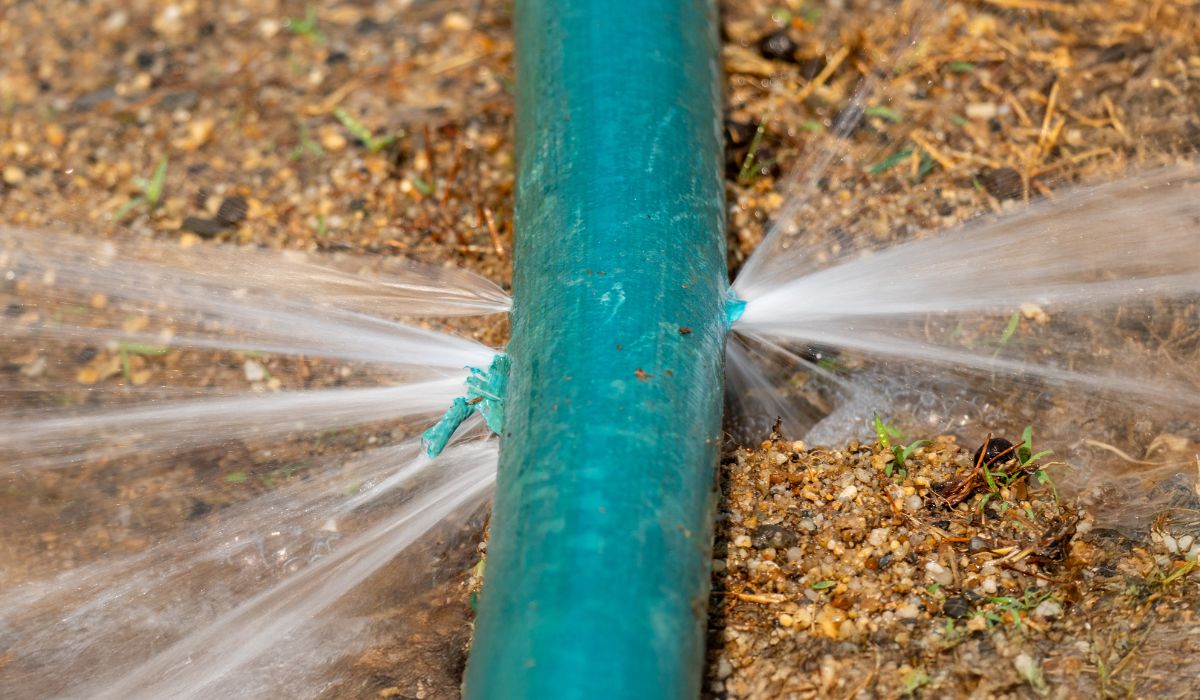 water damage in house