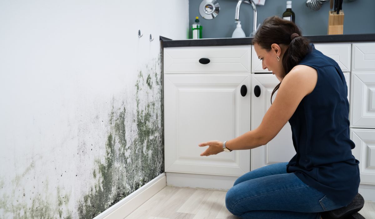 water damage restoration banning