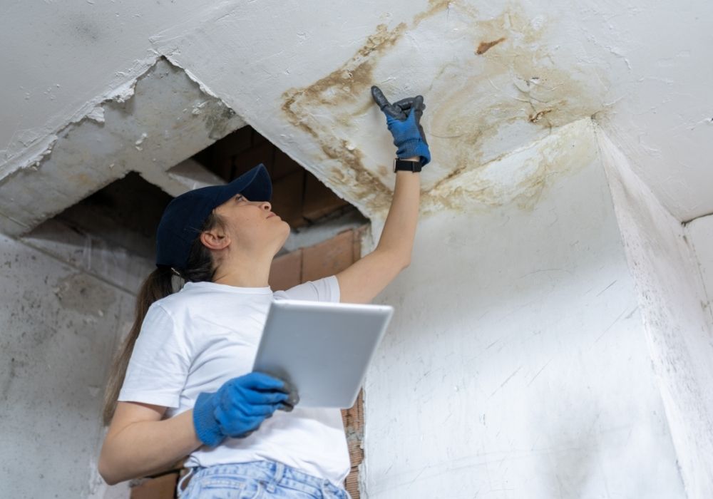 water damage services offering