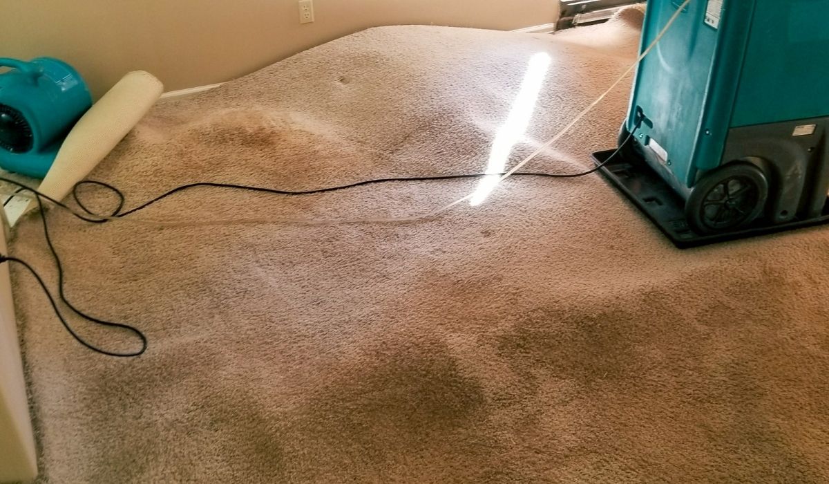 water damage under carpet